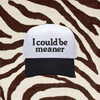 I COULD BE MEANER TRUCKER HAT