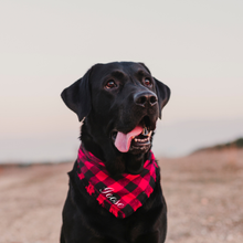  Dog Bandana CUSTOM